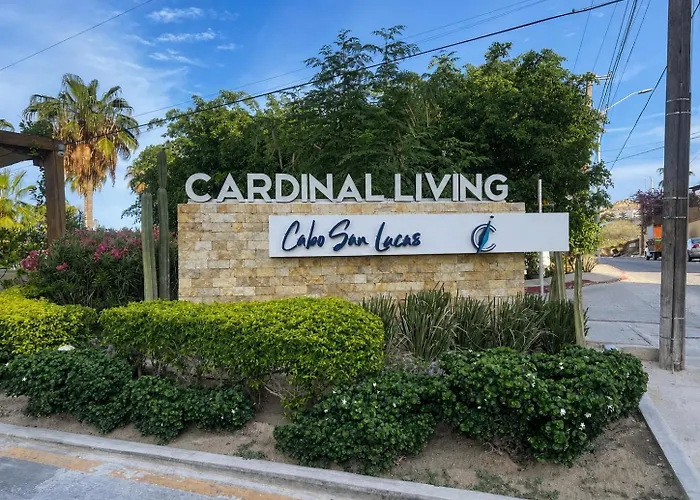 Cabo Skyview Retreat- Rooftop Pool & Gym *